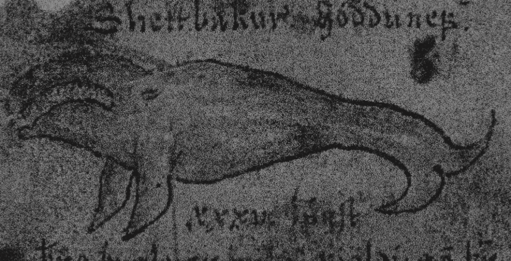 isfnr26-poster-whale