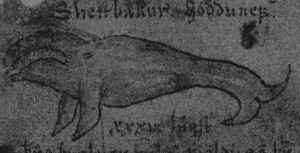 isfnr26-poster-whale