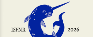 nin-reykjavik banner